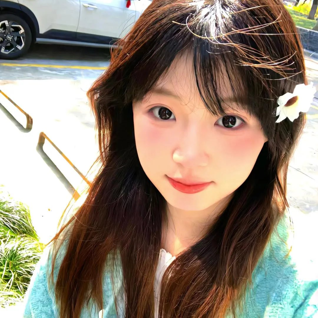 春情妃子